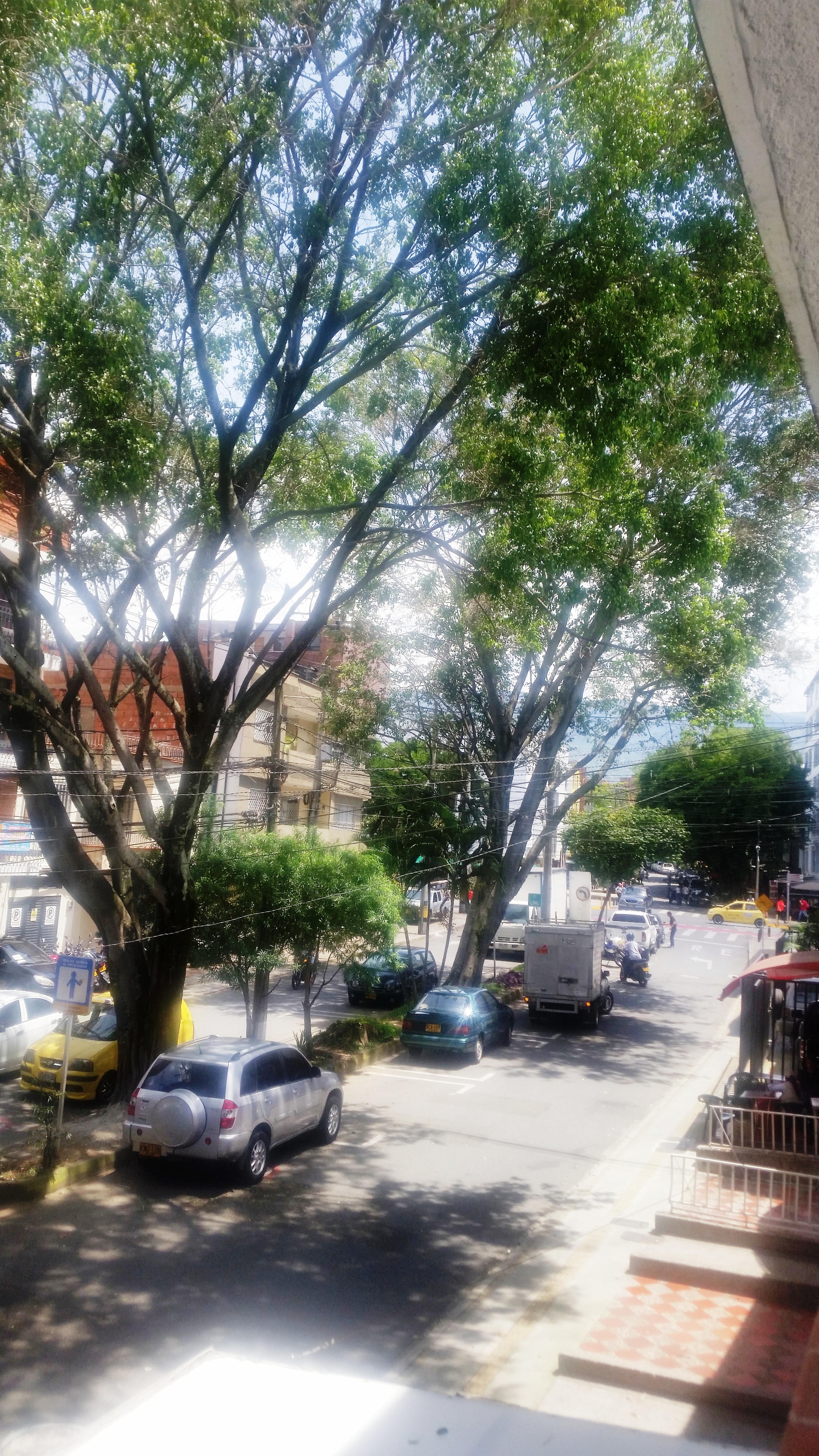 Hotel Quinta Avenida Μεντεγίν Εξωτερικό φωτογραφία